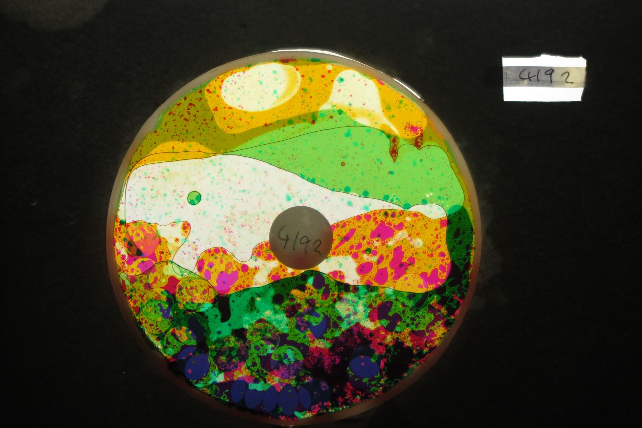 BV4192 bubble vision oil wheel